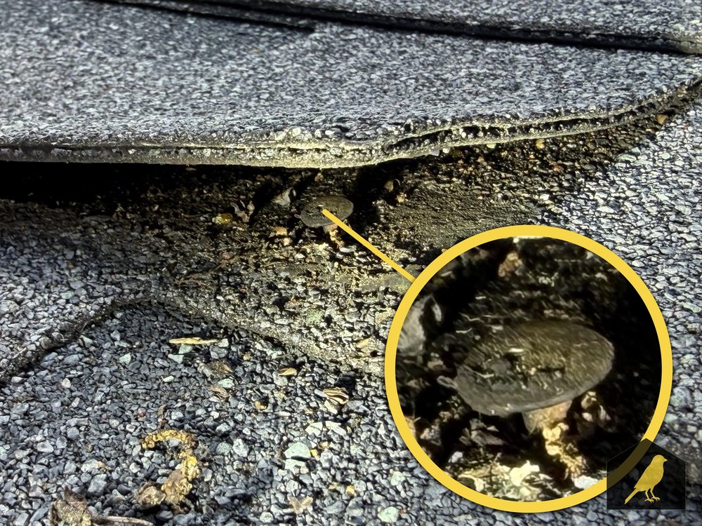 Exposed roofing nail head under a shingle edge