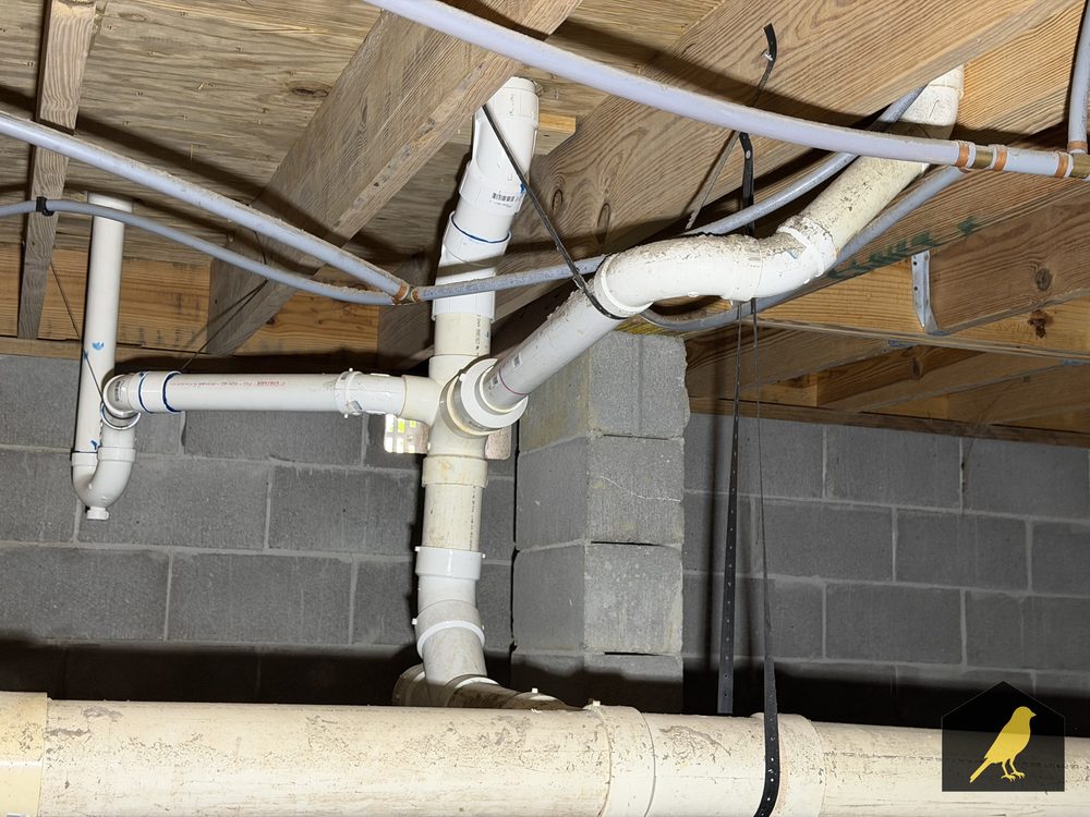 Gray polybutylene pipe running through a crawlspace